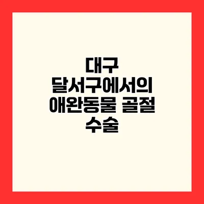 대구 달서구에서의 애완동물 골절 수술