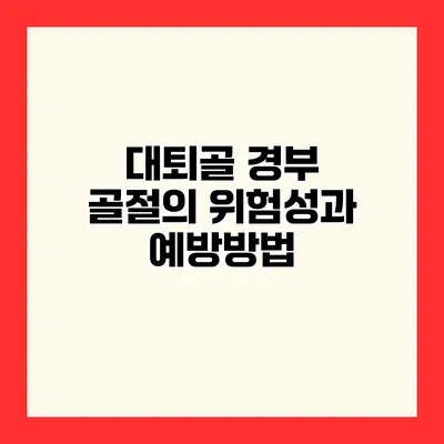 대퇴골 경부 골절의 위험성과 예방방법