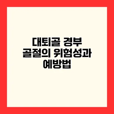 대퇴골 경부 골절의 위험성과 예방법