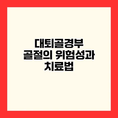 대퇴골경부 골절의 위험성과 치료법