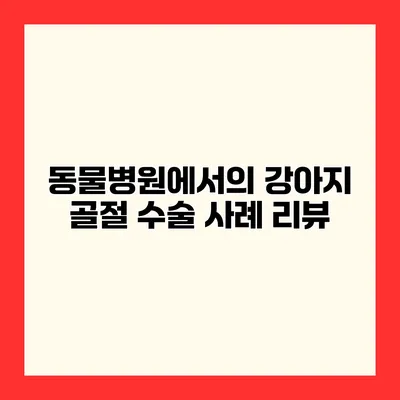 동물병원에서의 강아지 골절 수술 사례 리뷰