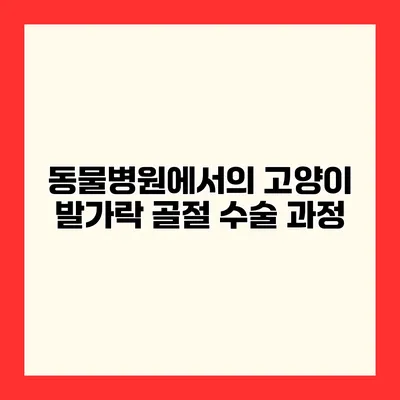 동물병원에서의 고양이 발가락 골절 수술 과정