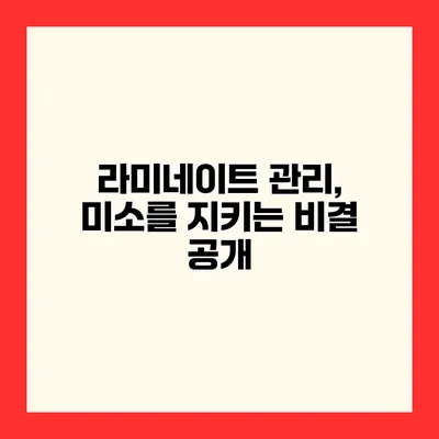 라미네이트 관리, 미소를 지키는 비결 공개