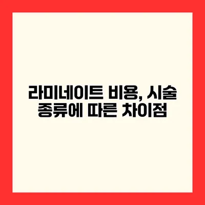 라미네이트 비용, 시술 종류에 따른 차이점