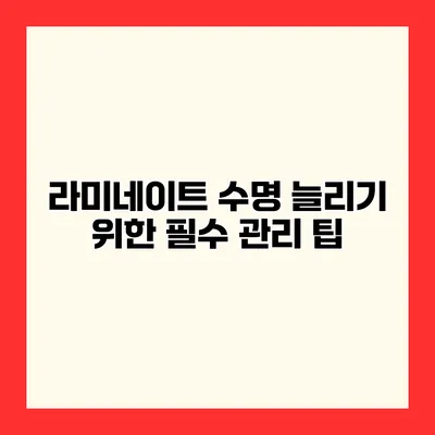 라미네이트 수명 늘리기 위한 필수 관리 팁