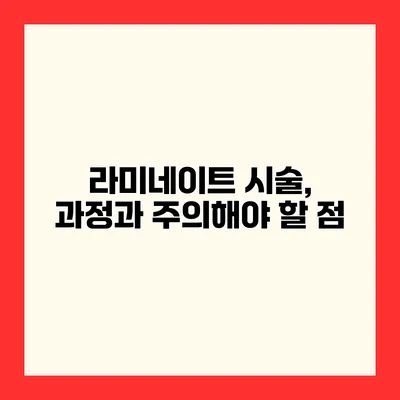 라미네이트 시술, 과정과 주의해야 할 점