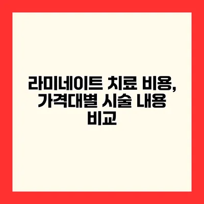 라미네이트 치료 비용, 가격대별 시술 내용 비교