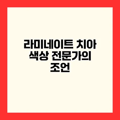 라미네이트 치아 색상 전문가의 조언