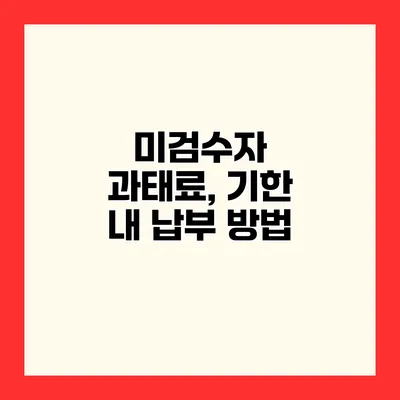 미검수자 과태료, 기한 내 납부 방법