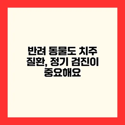 반려 동물도 치주 질환, 정기 검진이 중요해요