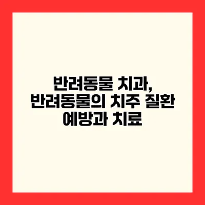 반려동물 치과, 반려동물의 치주 질환 예방과 치료