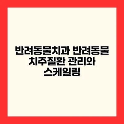 반려동물치과 반려동물 치주질환 관리와 스케일링