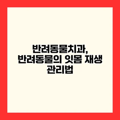 반려동물치과, 반려동물의 잇몸 재생 관리법