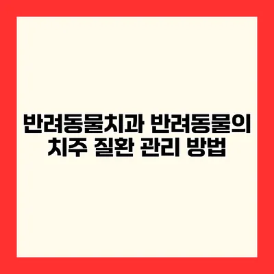 반려동물치과 반려동물의 치주 질환 관리 방법