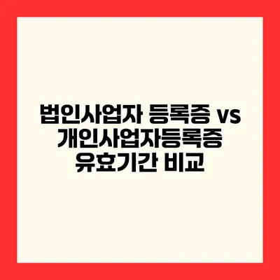 법인사업자 등록증 vs 개인사업자등록증 유효기간 비교