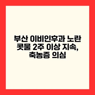 부산 이비인후과 노란 콧물 2주 이상 지속, 축농증 의심?