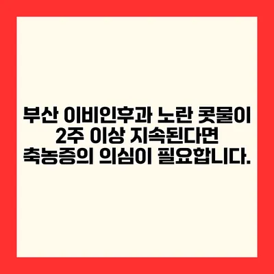 부산 이비인후과 노란 콧물이 2주 이상 지속된다면 축농증의 의심이 필요합니다.