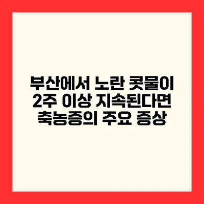 부산에서 노란 콧물이 2주 이상 지속된다면? 축농증의 주요 증상