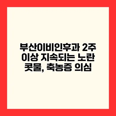 부산이비인후과 2주 이상 지속되는 노란 콧물, 축농증 의심?