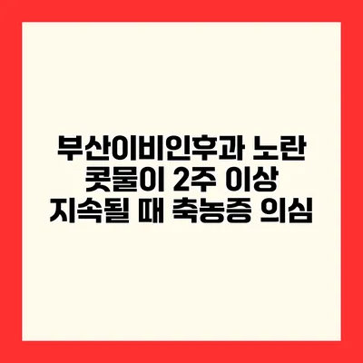 부산이비인후과 노란 콧물이 2주 이상 지속될 때 축농증 의심?