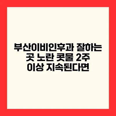 부산이비인후과 잘하는 곳 노란 콧물 2주 이상 지속된다면?