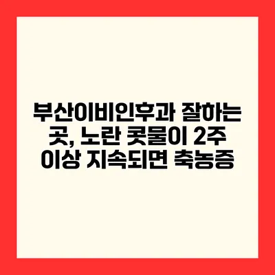부산이비인후과 잘하는 곳, 노란 콧물이 2주 이상 지속되면 축농증?