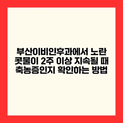 부산이비인후과에서 노란 콧물이 2주 이상 지속될 때 축농증인지 확인하는 방법