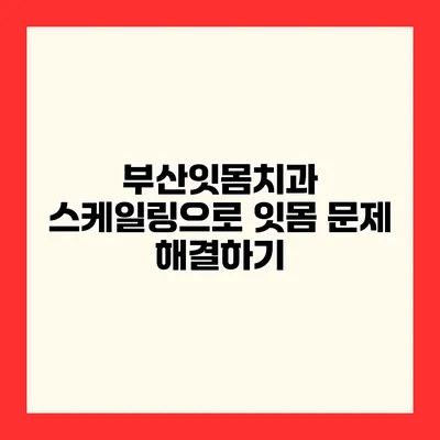 부산잇몸치과 스케일링으로 잇몸 문제 해결하기