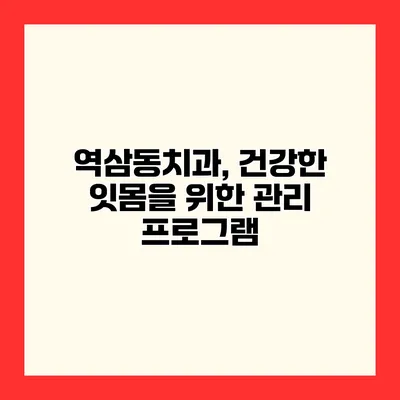 역삼동치과, 건강한 잇몸을 위한 관리 프로그램