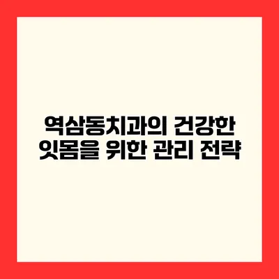 역삼동치과의 건강한 잇몸을 위한 관리 전략