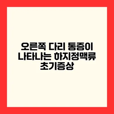 오른쪽 다리 통증이 나타나는 하지정맥류 초기증상