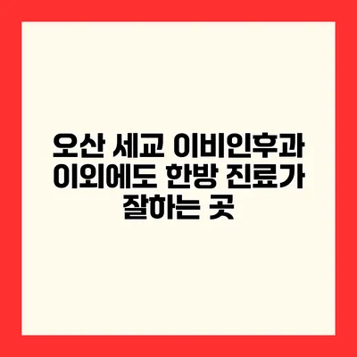 오산 세교 이비인후과 이외에도 한방 진료가 잘하는 곳