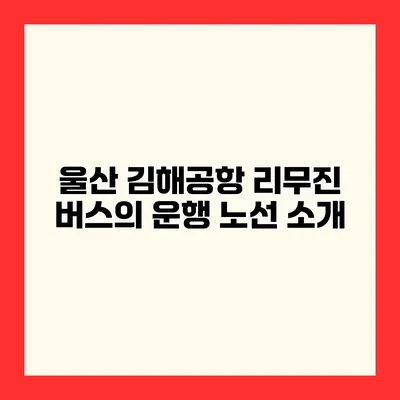 울산 김해공항 리무진 버스의 운행 노선 소개