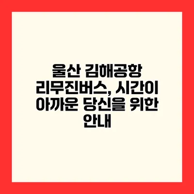 울산 김해공항 리무진버스, 시간이 아까운 당신을 위한 안내
