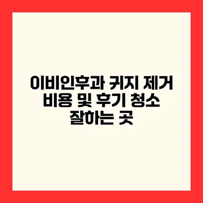 이비인후과 귀지 제거 비용 및 후기 청소 잘하는 곳