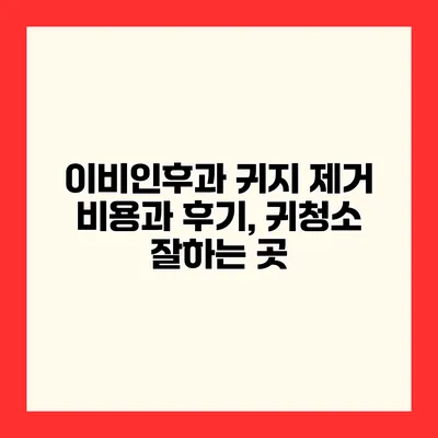 이비인후과 귀지 제거 비용과 후기, 귀청소 잘하는 곳