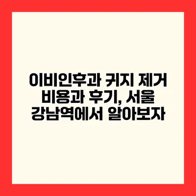 이비인후과 귀지 제거 비용과 후기, 서울 강남역에서 알아보자