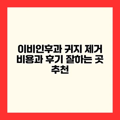이비인후과 귀지 제거 비용과 후기 잘하는 곳 추천