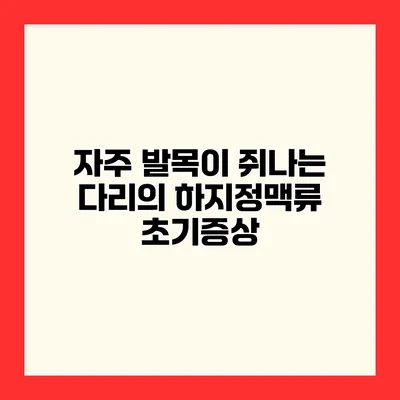 자주 발목이 쥐나는 다리의 하지정맥류 초기증상