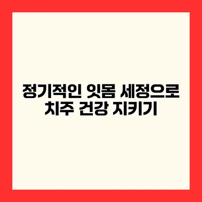 정기적인 잇몸 세정으로 치주 건강 지키기