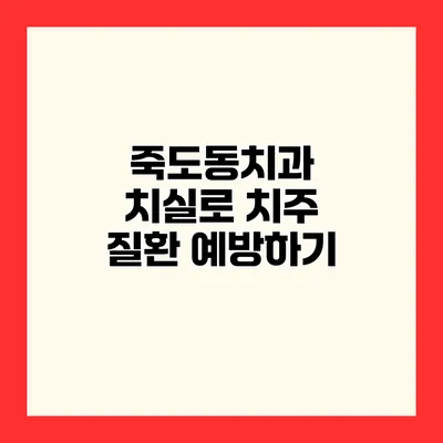 죽도동치과 치실로 치주 질환 예방하기