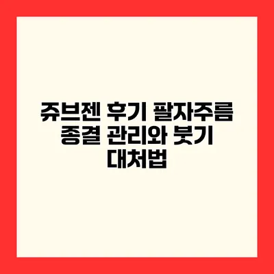 쥬브젠 후기 팔자주름 종결 관리와 붓기 대처법