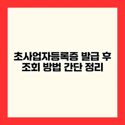초사업자등록증 발급 후 조회 방법 간단 정리
