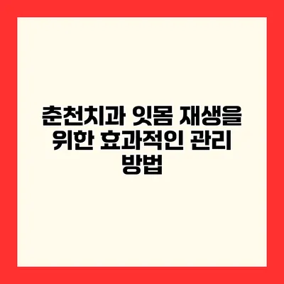 춘천치과 잇몸 재생을 위한 효과적인 관리 방법