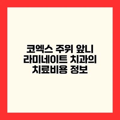 코엑스 주위 앞니 라미네이트 치과의 치료비용 정보