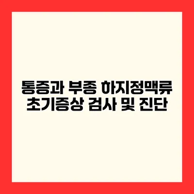 통증과 부종 하지정맥류 초기증상 검사 및 진단