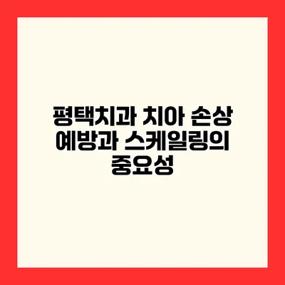 평택치과 치아 손상 예방과 스케일링의 중요성