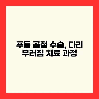 푸들 골절 수술, 다리 부러짐 치료 과정