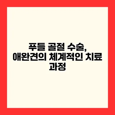 푸들 골절 수술, 애완견의 체계적인 치료 과정