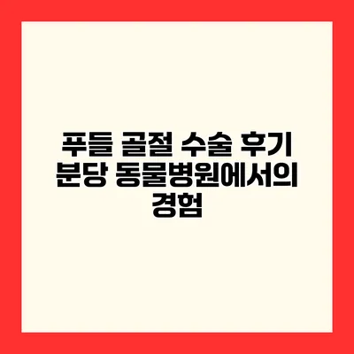 푸들 골절 수술 후기 분당 동물병원에서의 경험